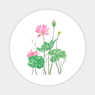 pink lotus flowers watercolor Magnet